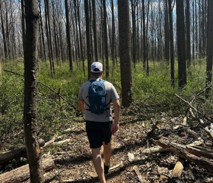 A person wearing a white cap, gray T-shirt, shorts, and a blue backpack walks on a narrow dirt trail through a forest of tall, leafless trees under a blue sky—one of the best hikes around Frederick MD. Green undergrowth and fallen branches line the floor.