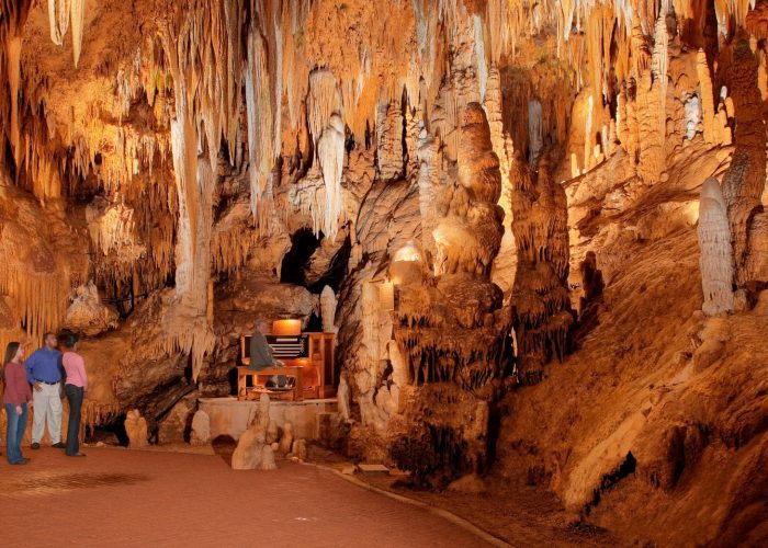 Tour group inside a warmly lit cavern with dangling stalactites; a musician sits at a small organ in the background.