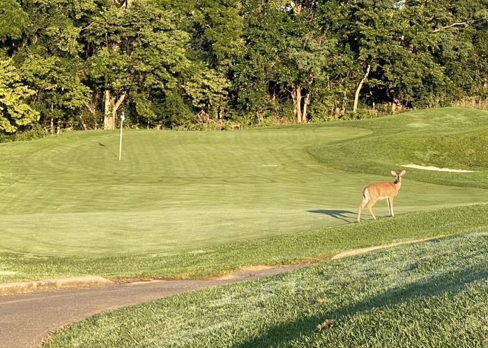 Maryland-National-Golf-Club-Near-Frederick