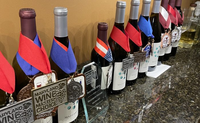Mazzaroth Award Winning Wines