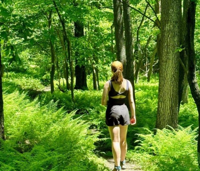 A woman with a ponytail, wearing a black sports outfit and cap, walks alone on a narrow dirt path through a lush green forest—one of the best hikes around Frederick MD—surrounded by ferns and tall trees on a sunny day.