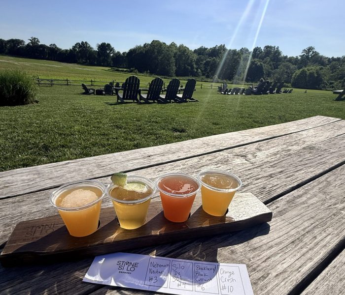 Outdoor beer flight on a weathered wooden table in a sunny park, with green lawn and Adirondack chairs in the background under a blue sky.