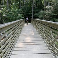 Little Bennett Regional Park Bike Trails
