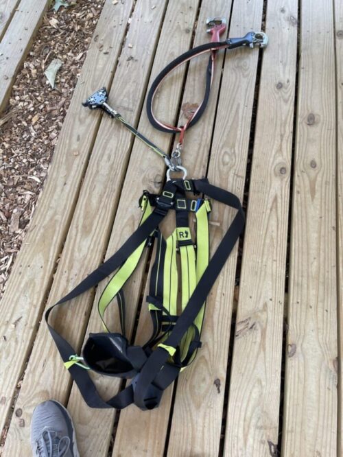 Tree Trekkers Harness