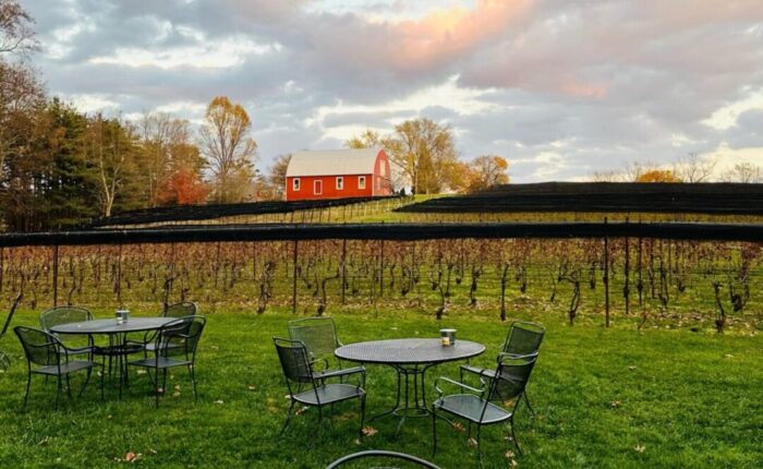 seprant ridge vineyard near frederick